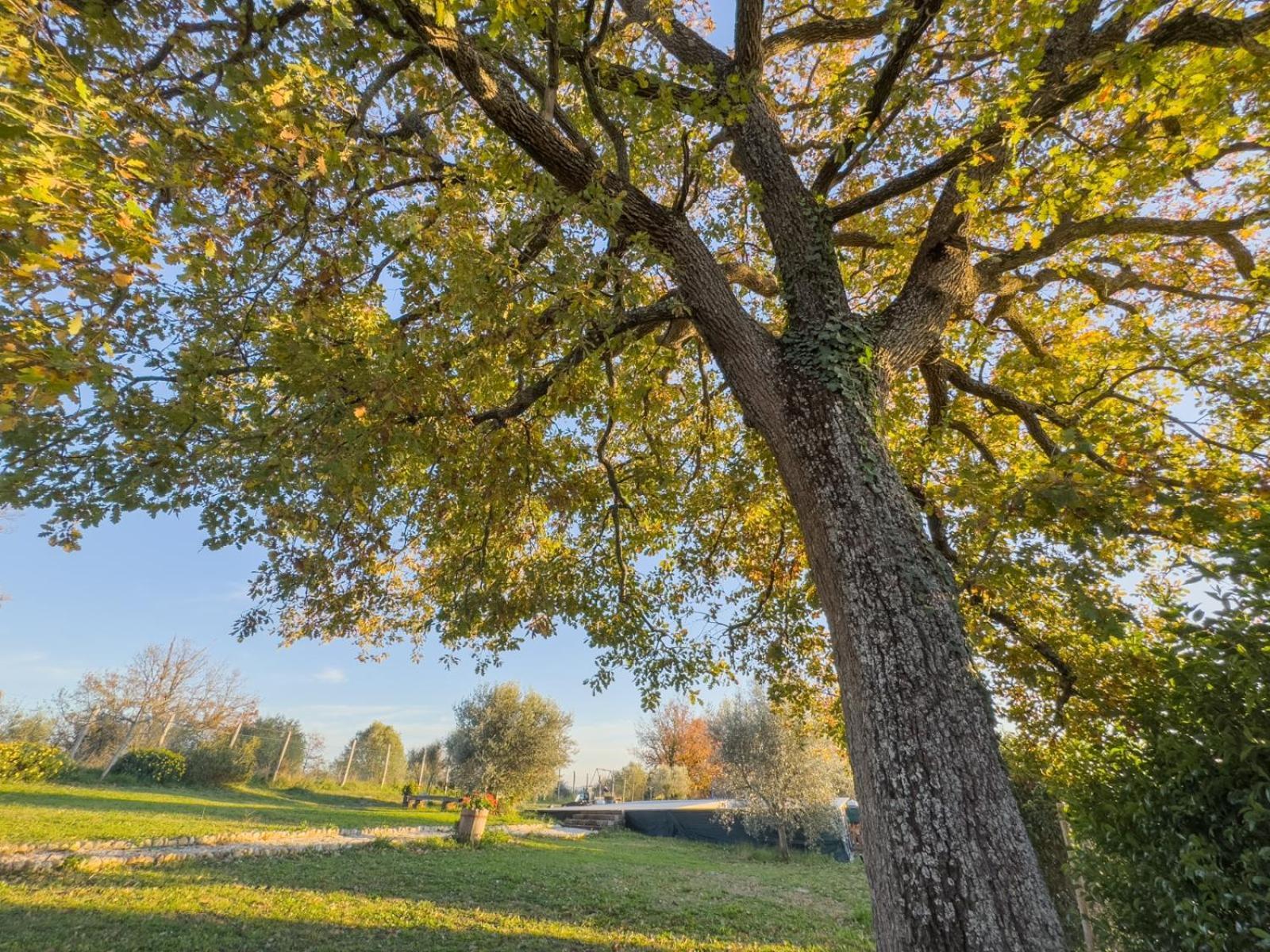 Casale Le Brecce B&B Otricoli Zewnętrze zdjęcie